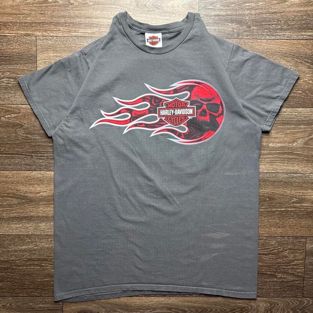 Harley Davidson Grey Tee with Red Skull & Flame Graphic